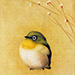Tadashi Ikai Gallery
